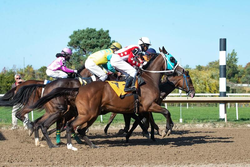 All Slots Casino LC Free Play: Accessible Online Slots In Saint Lucia